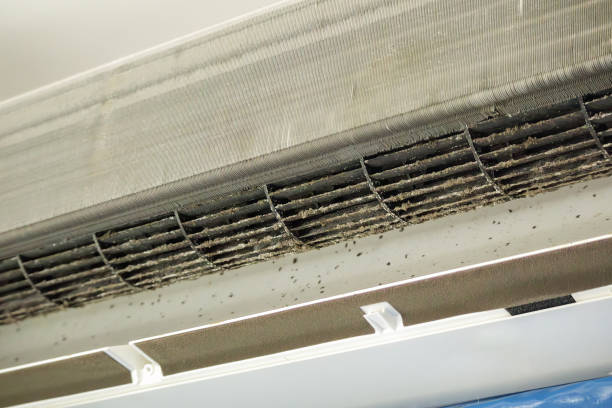 Best Commercial HVAC Duct Cleaning  in Rusk, TX